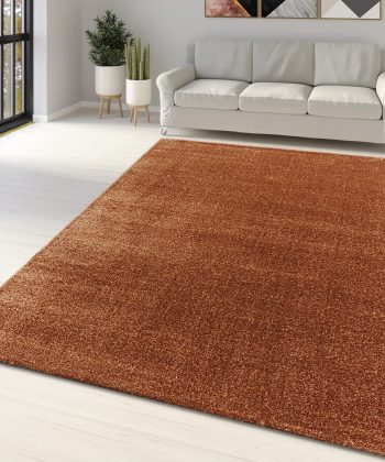 Rust Brown Modern Rug
